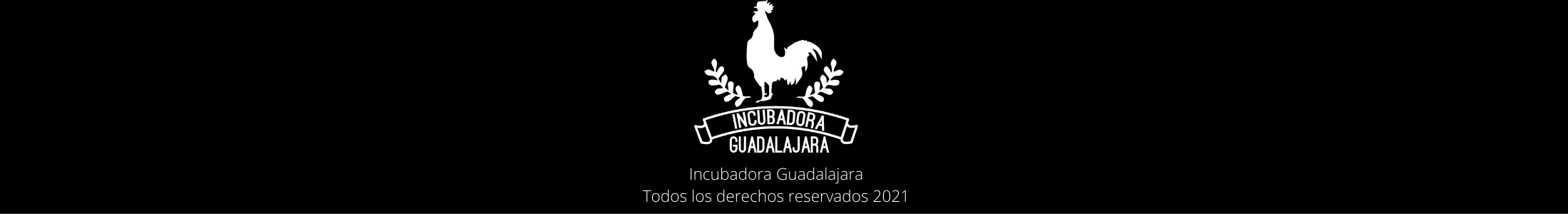Incubadora Guadalajara