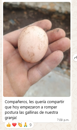 Imagen_Alberto_tes_MGP_03