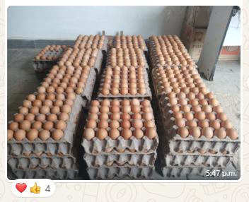 Imagen_Gabriel_tes_MGP_08