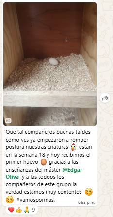 Imagen_Marco_tes_MGP_06