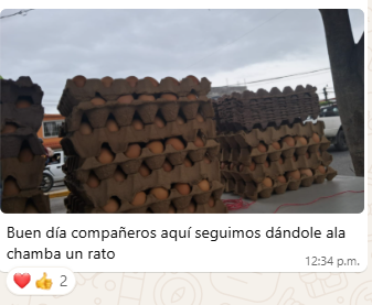 Imagen_OMAR_tes_MGP_09